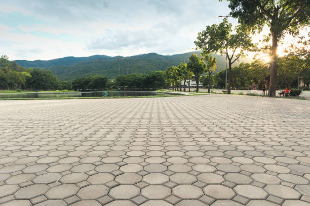 Best Decorative Driveway Pavers  in Seat Pleasant, MD